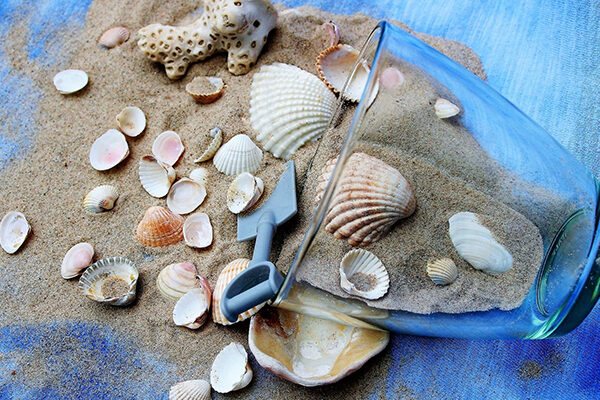 alimentos que cuidan tu piel en verano