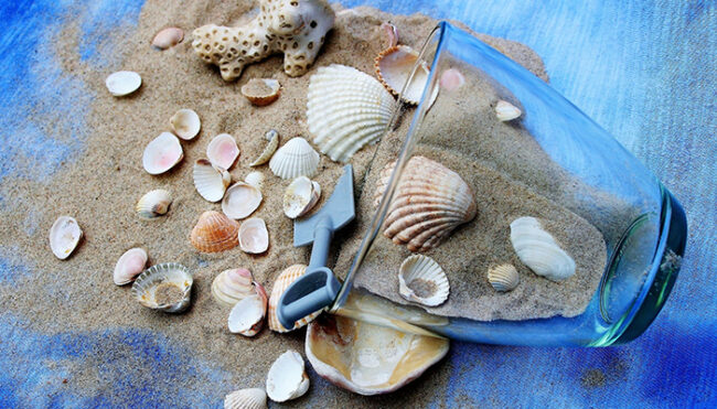 alimentos que cuidan tu piel en verano